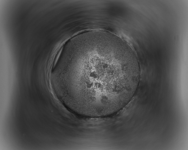 X0000092280145200709211201