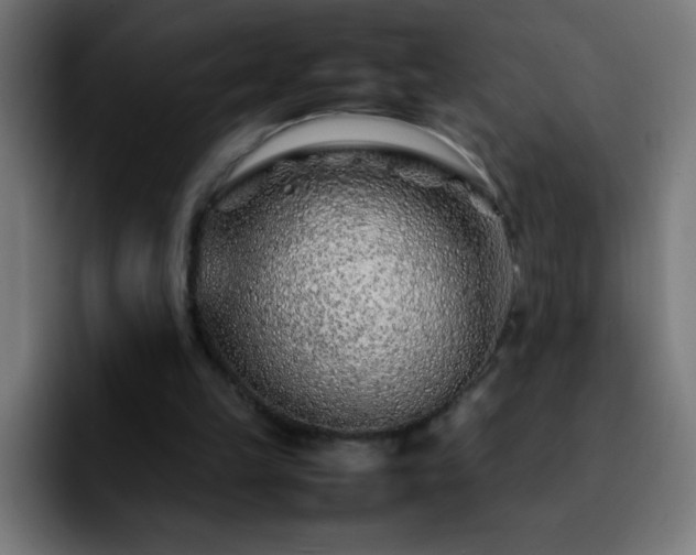 X0000092280149200709211201