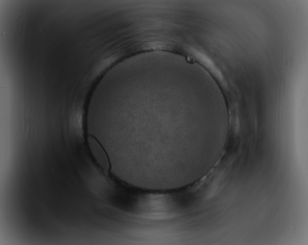 X0000092280154200709211201