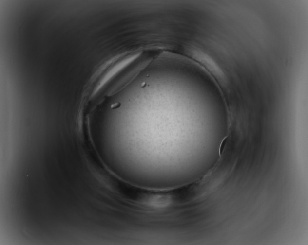 X0000092280155200709211201