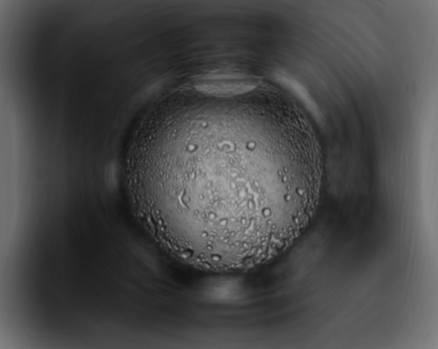 X0000092280161200709211202