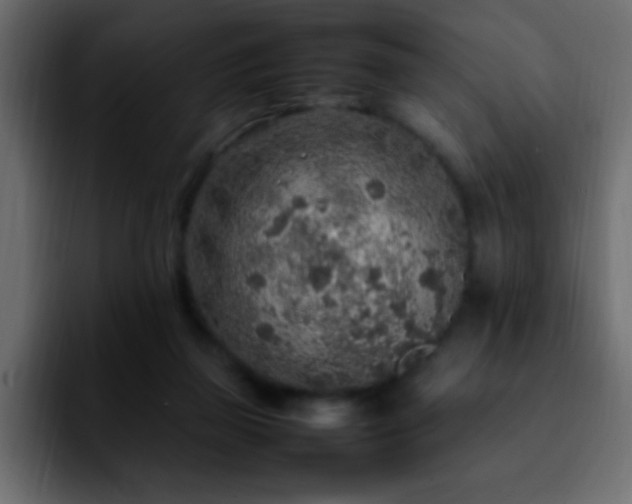 X0000092280165200709211202