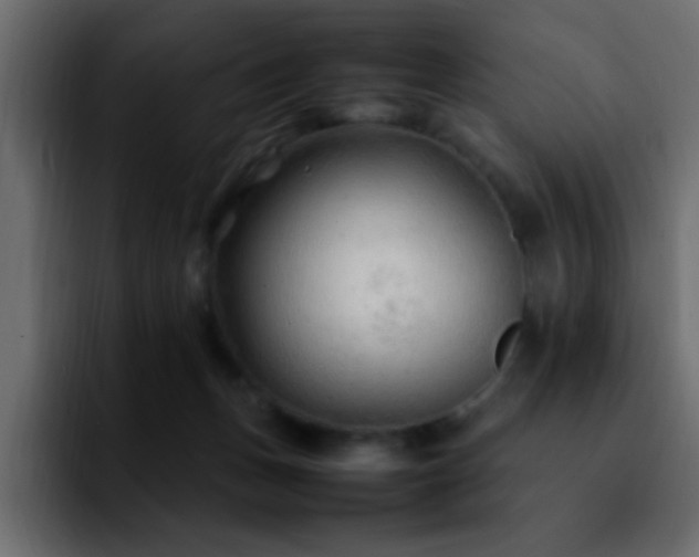 X0000092280175200709211202