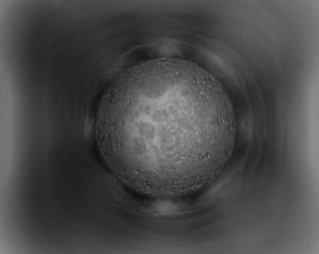 X0000092280177200709211202