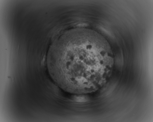 X0000092280181200709211202