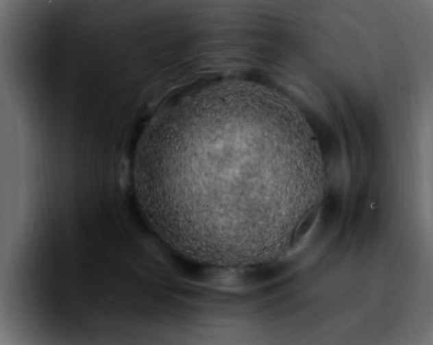 X0000092280182200709211202