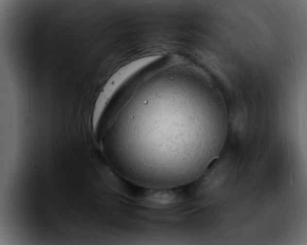 X0000092280185200709211202