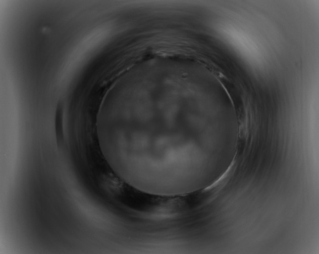 X0000092280191200709211202