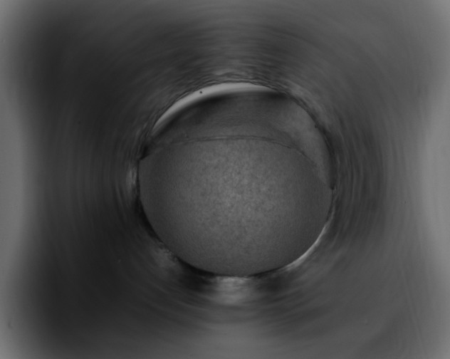 X0000092280192200709211202