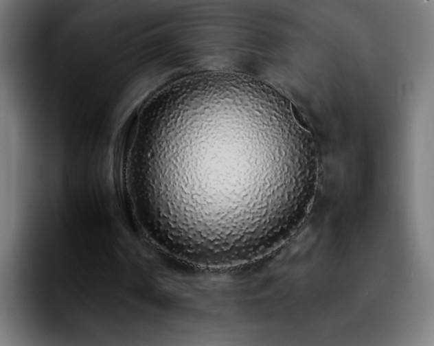 X0000092280194200709211201