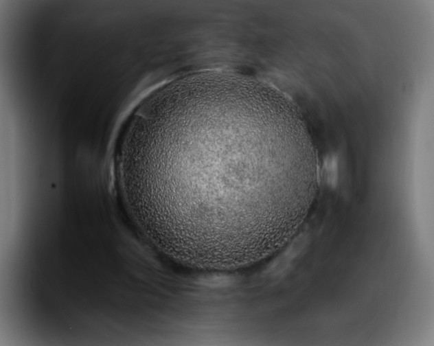 X0000092280198200709211201