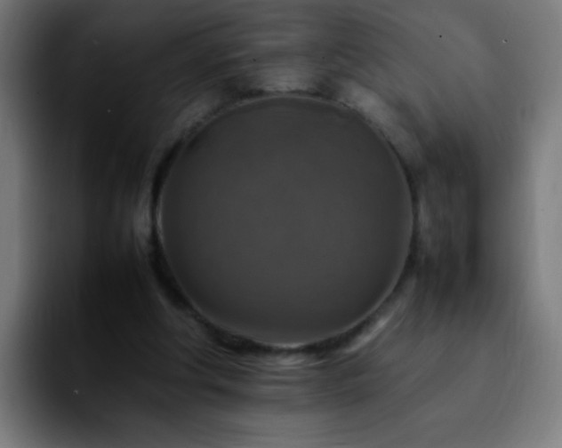 X0000092280202200709211201