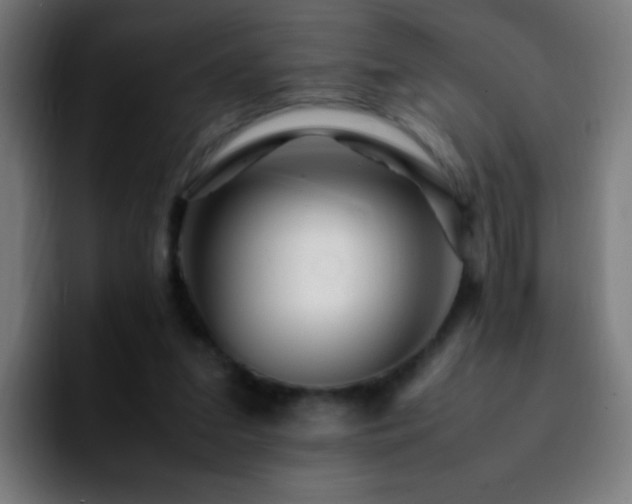 X0000092280207200709211201