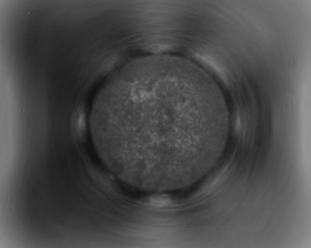 X0000092280214200709211201