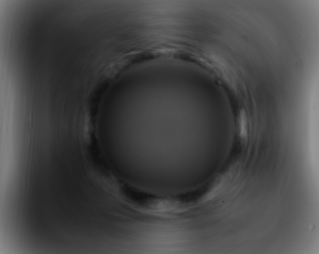 X0000092280223200709211201