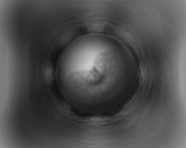 X0000092280224200709211201