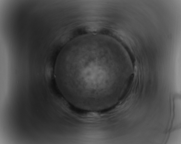 X0000092280227200709211201