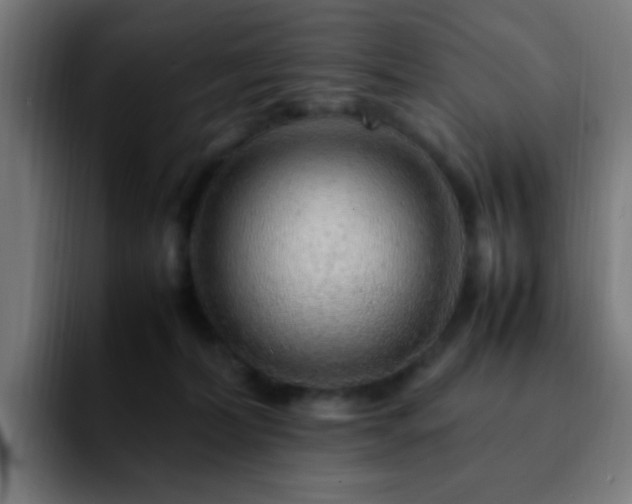 X0000092280228200709211201