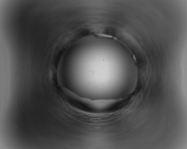 X0000092280229200709211201