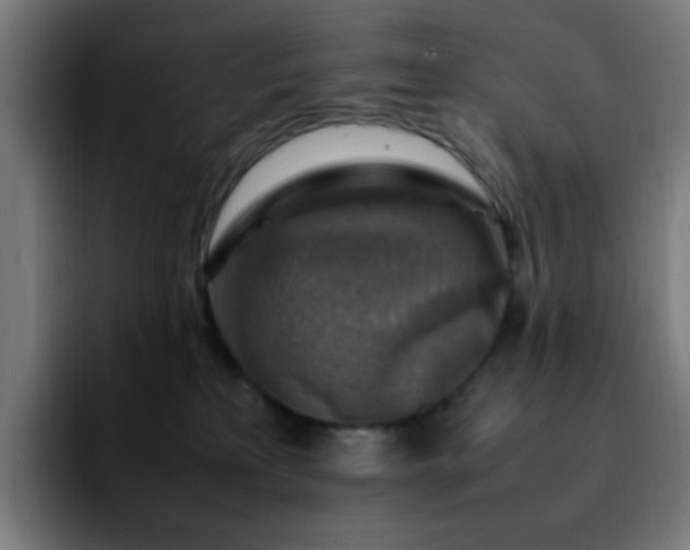 X0000092280233200709211201