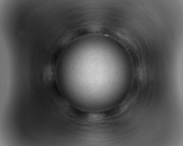 X0000092280234200709211201