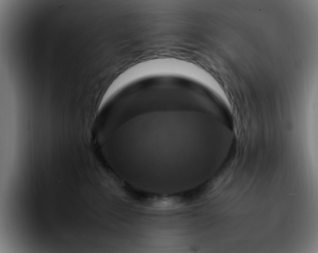 X0000092280235200709211201