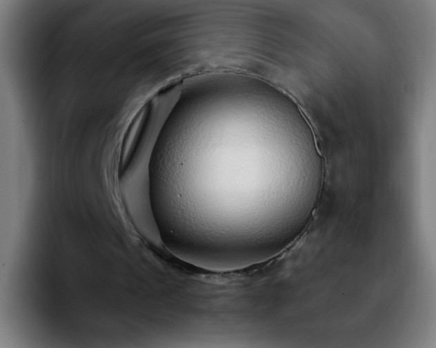 X0000092280241200709211200