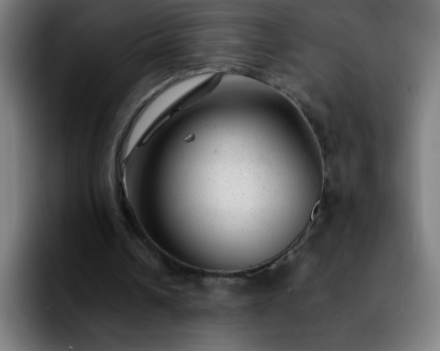 X0000092280242200709211200