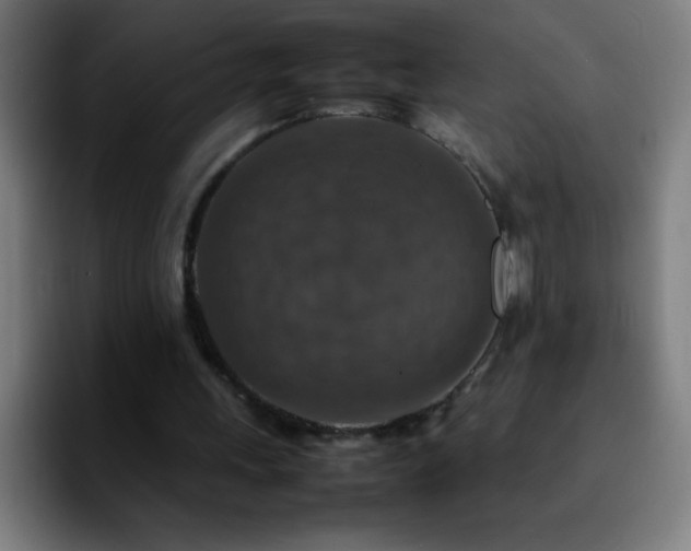 X0000092280243200709211200