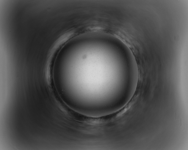 X0000092280245200709211200