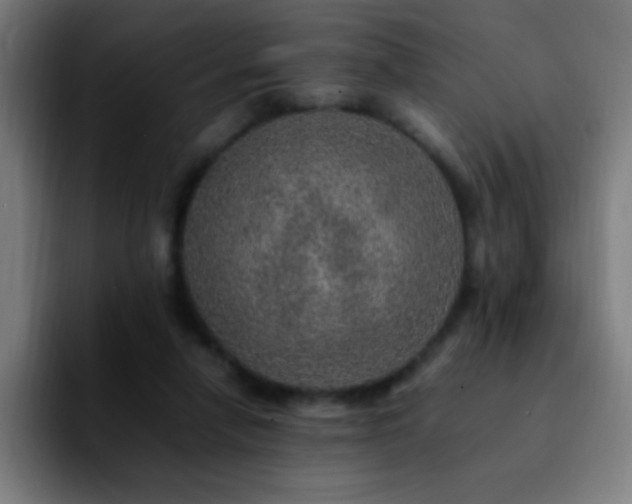 X0000092280258200709211200