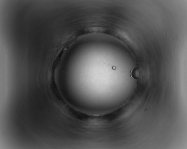 X0000092280259200709211200