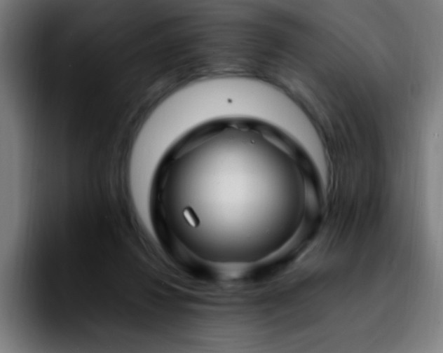 X0000092280260200709211200