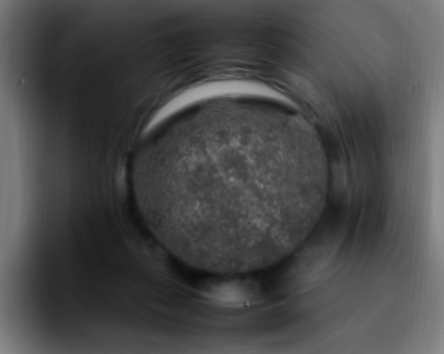 X0000092280267200709211201