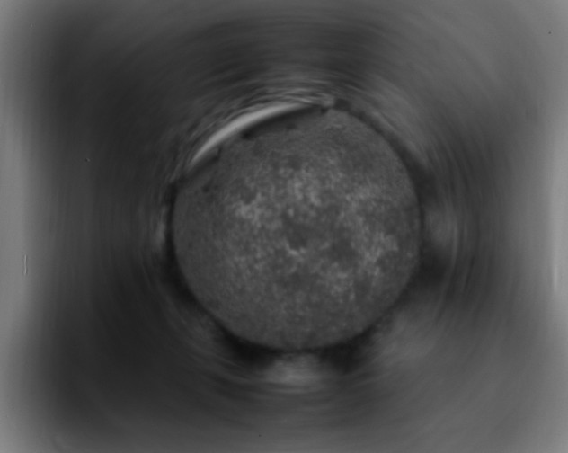 X0000092280271200709211201