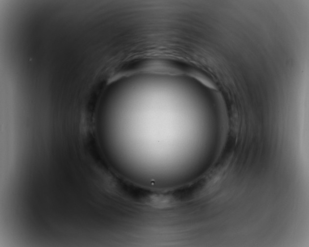 X0000092280272200709211201