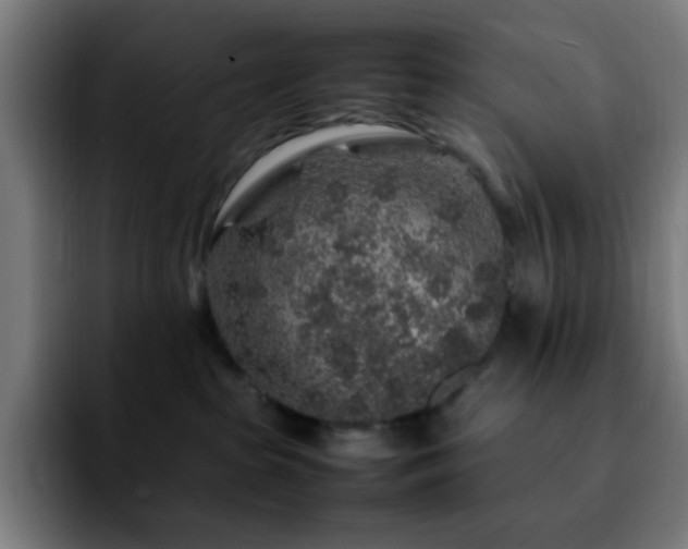 X0000092280285200709211201