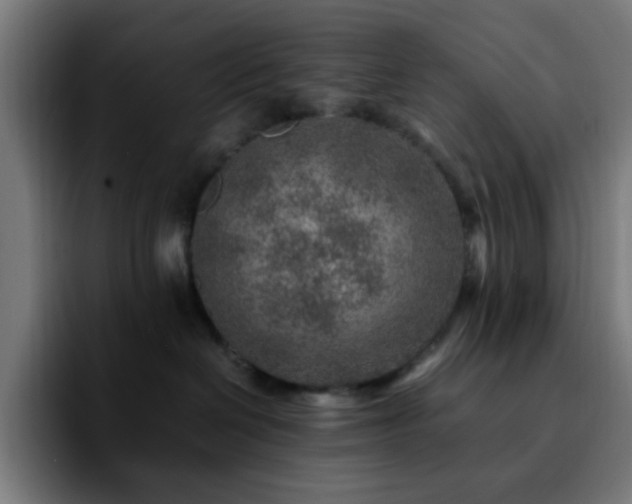 X0000092280286200709211201