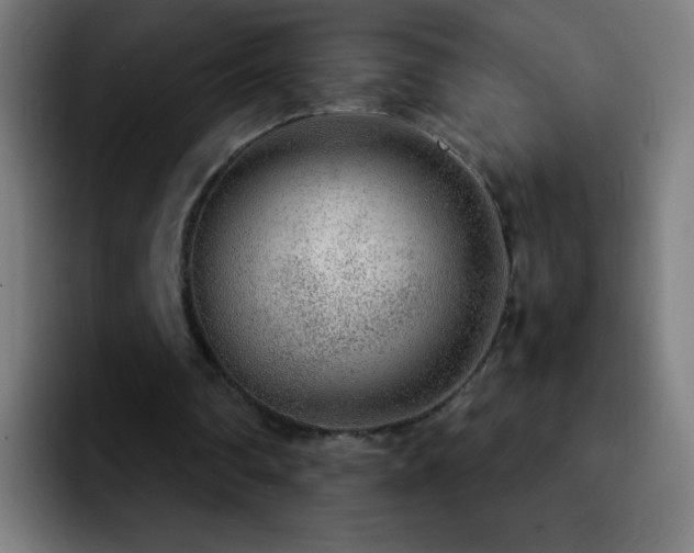 X0000092280290200709211200