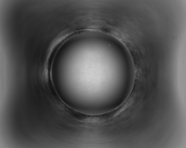 X0000092280294200709211200