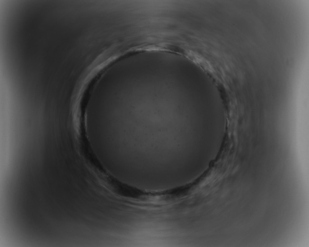 X0000092280295200709211200