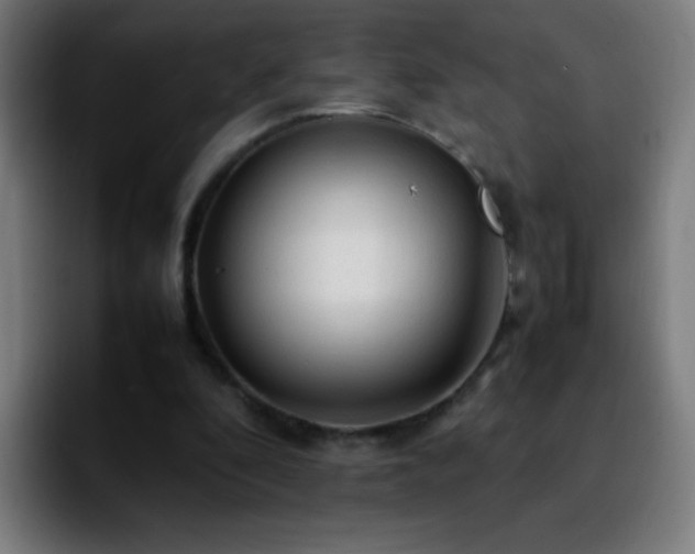 X0000092280296200709211200