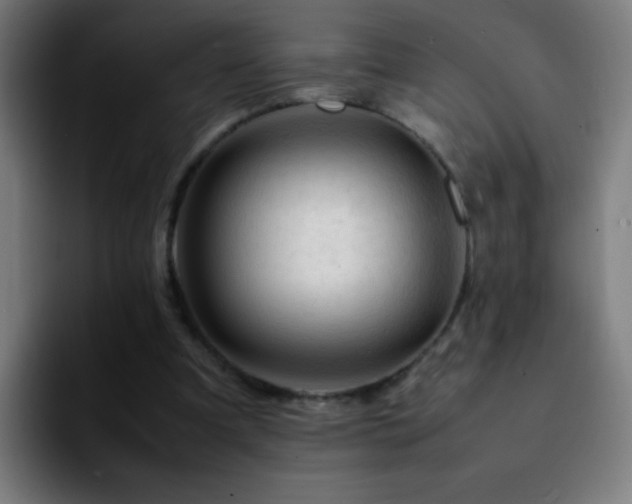 X0000092280297200709211200