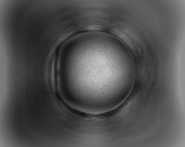 X0000092280299200709211200