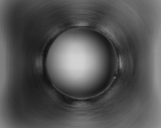 X0000092280300200709211200