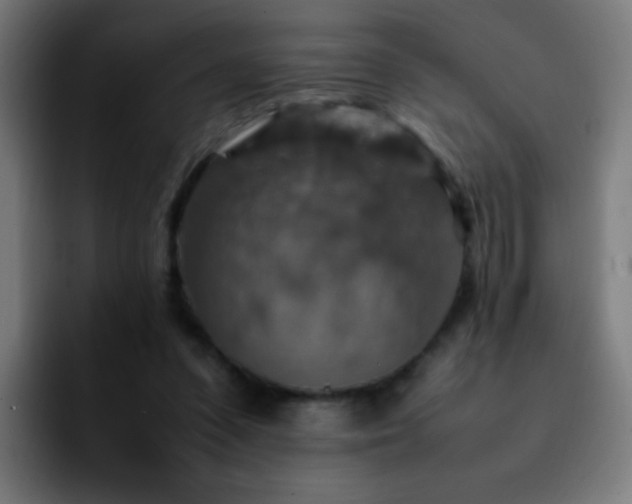 X0000092280303200709211200