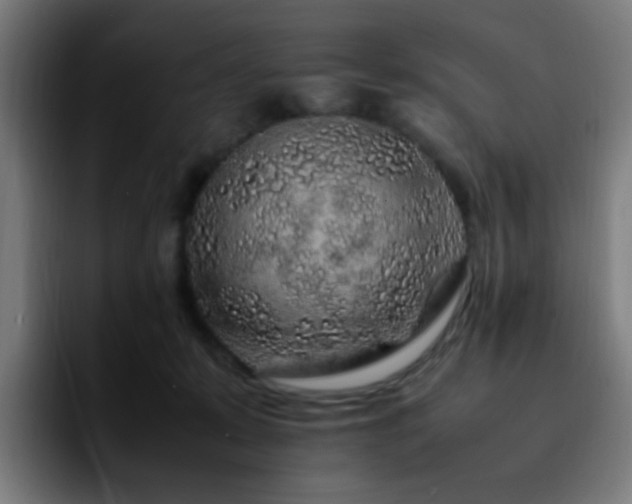 X0000092280319200709211200