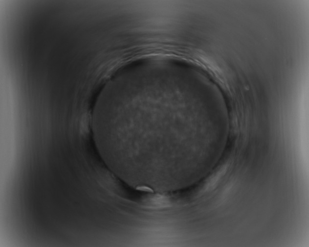 X0000092280325200709211200