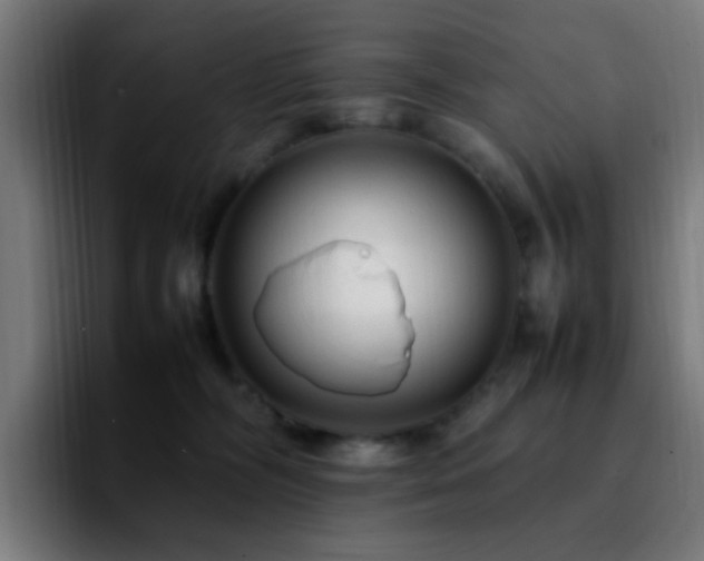 X0000092280326200709211200