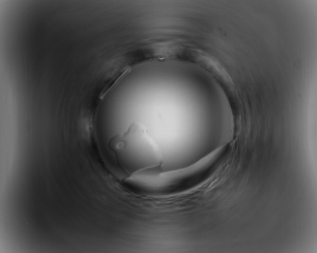 X0000092280329200709211200